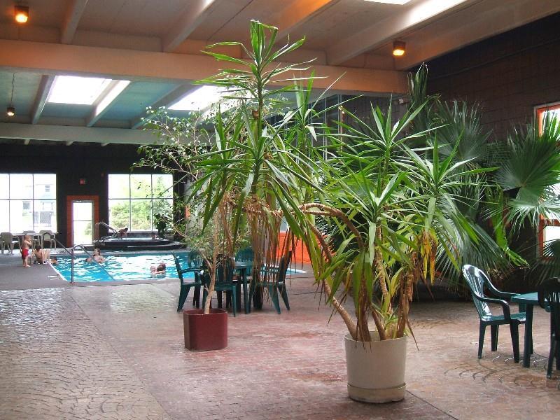 Home2 Suites By Hilton Bowling Green, Oh Fasilitas foto